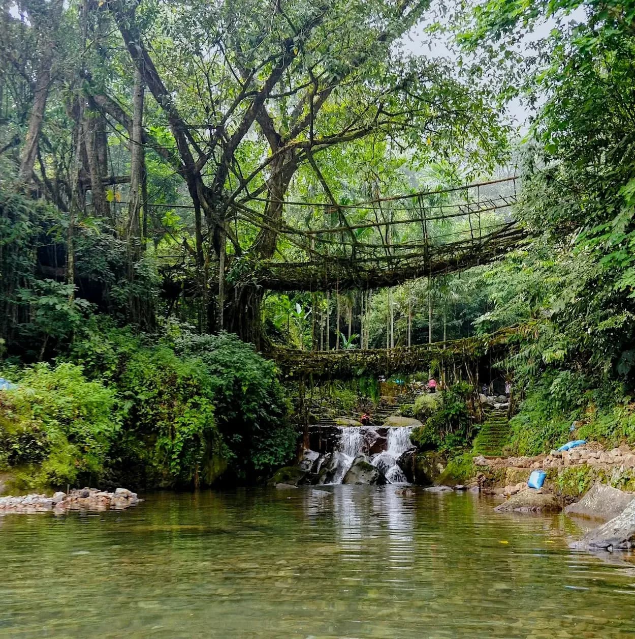 Mystical Meghalaya: Root Bridges & Glass Rivers